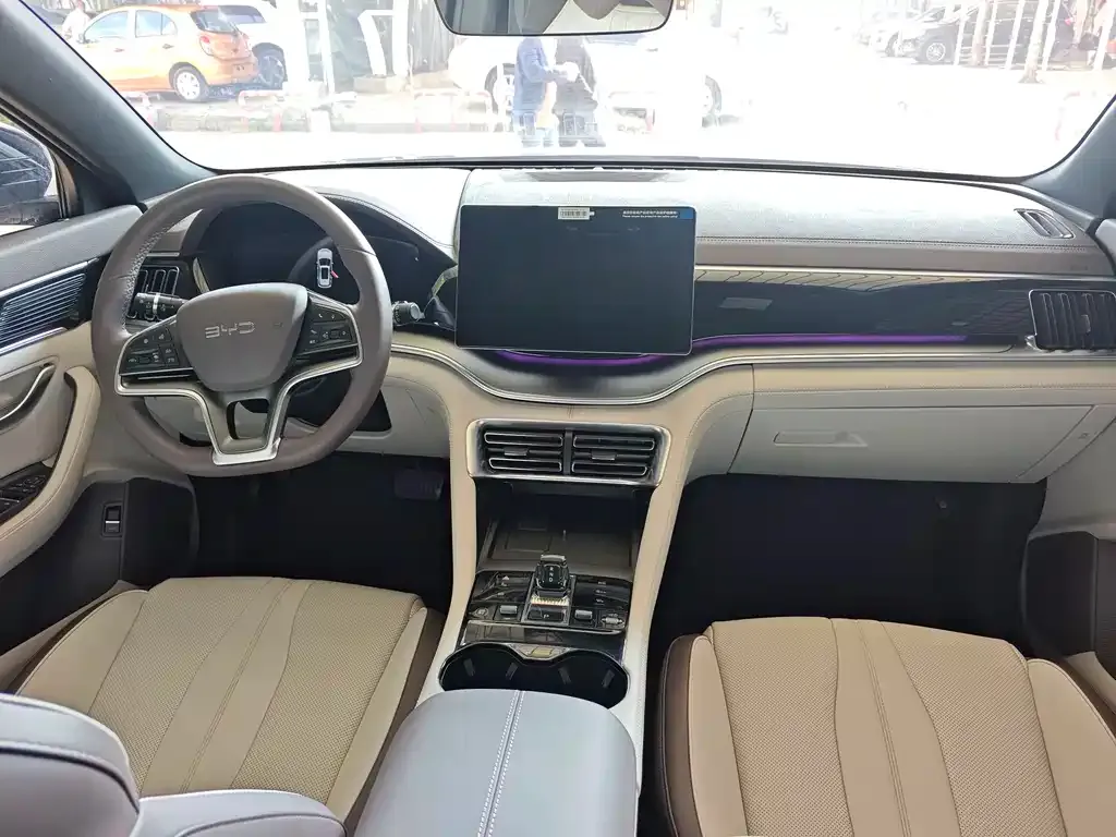 BYD PLUS New Energy 2024 из CN, фото 4