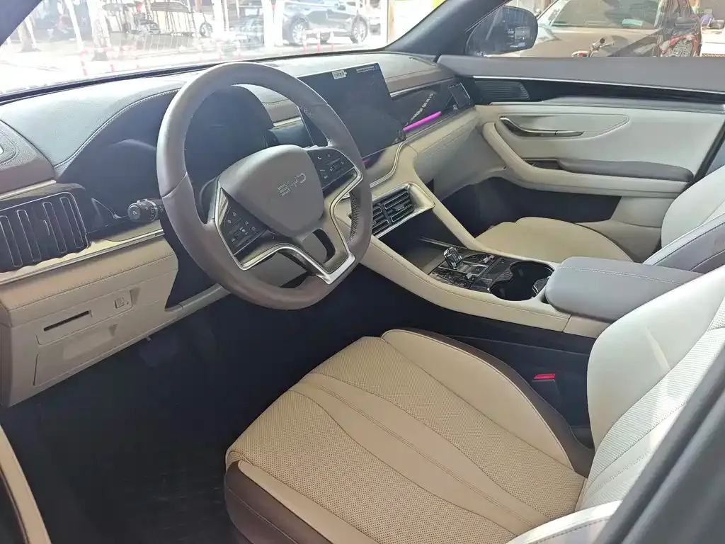 BYD PLUS New Energy 2024 из CN, фото 5