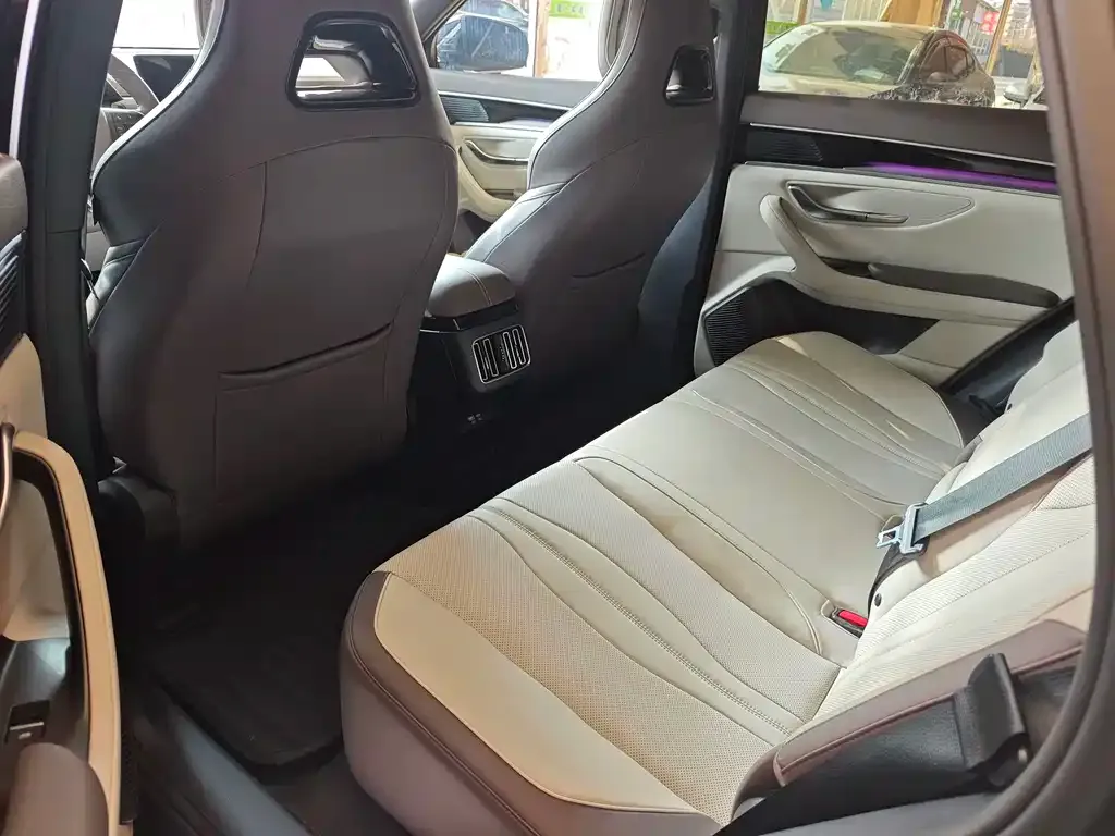 BYD PLUS New Energy 2024 из CN, фото 6