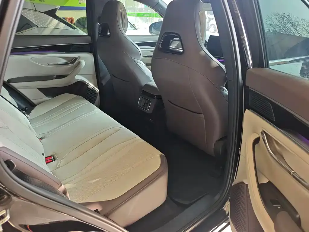 BYD PLUS New Energy 2024 из CN, фото 2