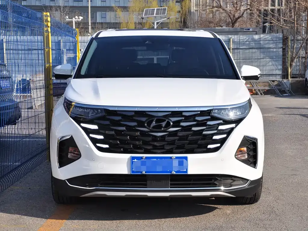 Hyundai Custo — фото 10