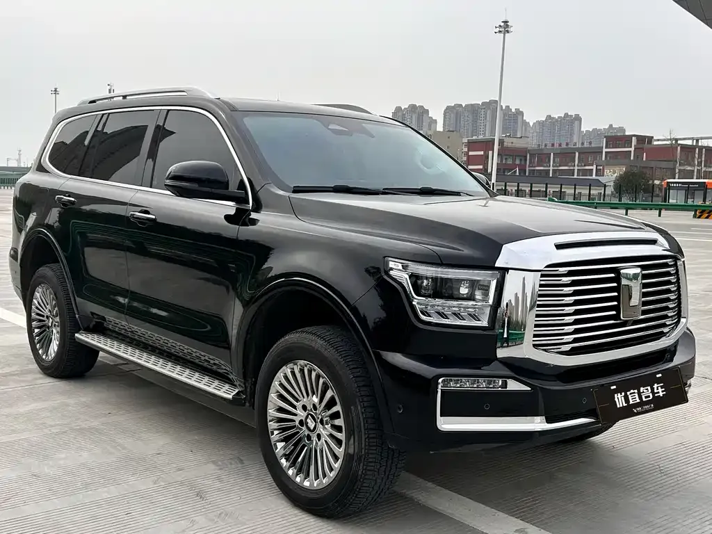 Tank 500 New Energy 2025 из CN, фото 6