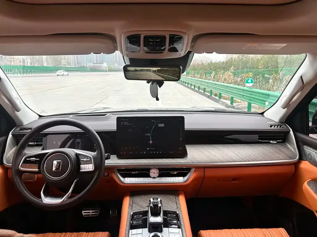 Tank 500 New Energy 2025 из CN, фото 9