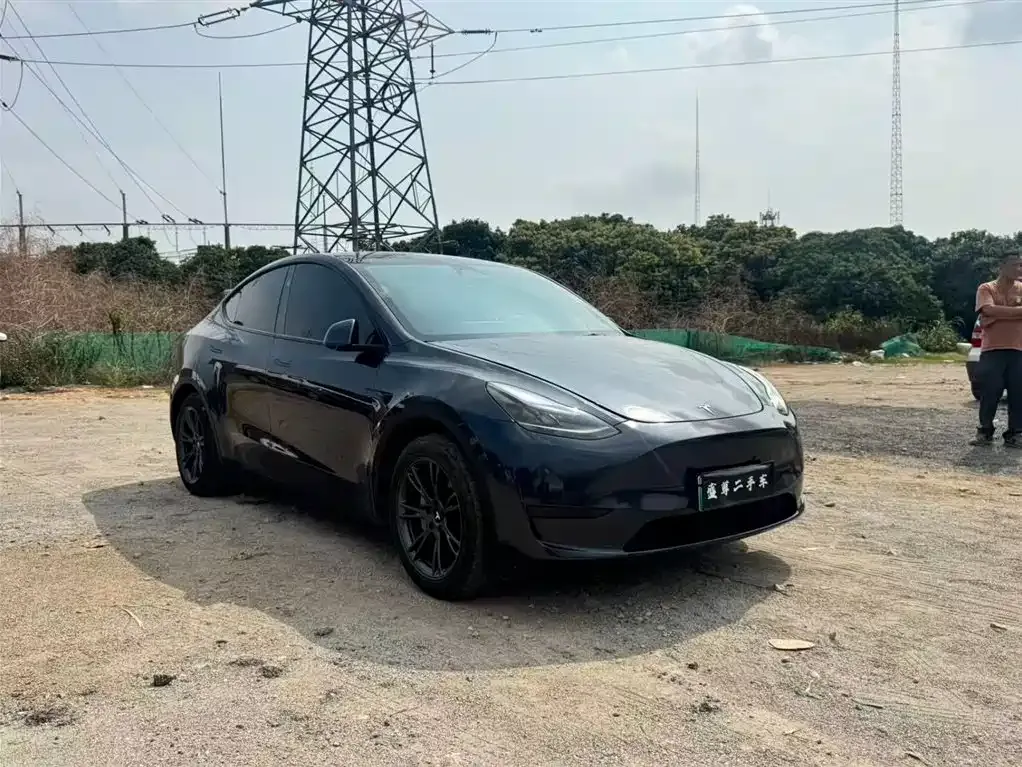 Tesla Model Y — фото 2