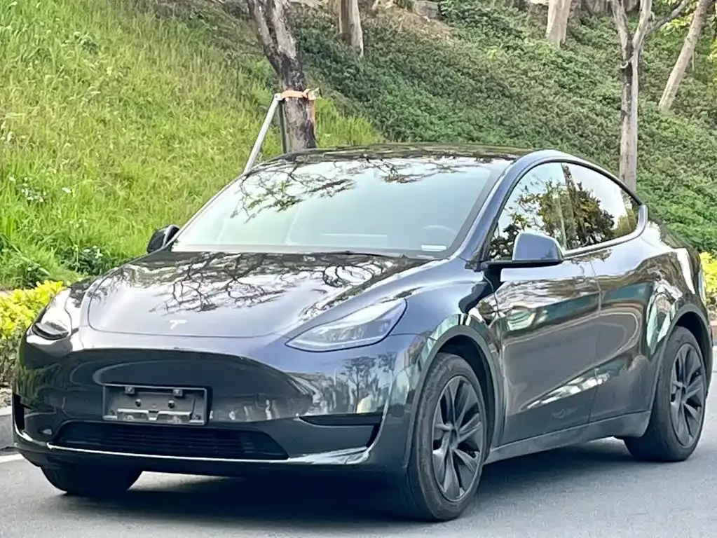 Tesla Model Y 2024 из CN, фото 1