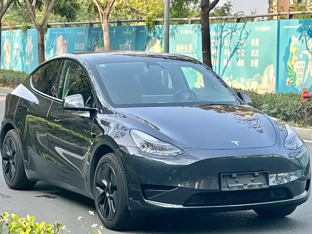 Tesla Model Y 2024 из CN, фото 4