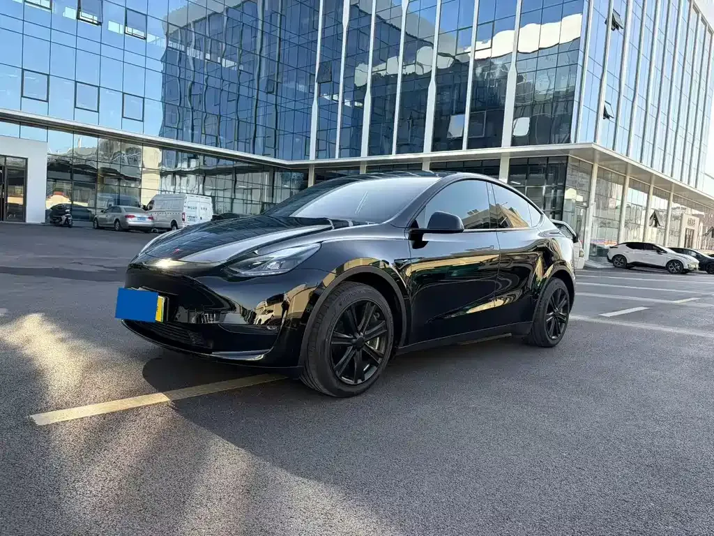 Tesla Model Y 2023 из CN, фото 1