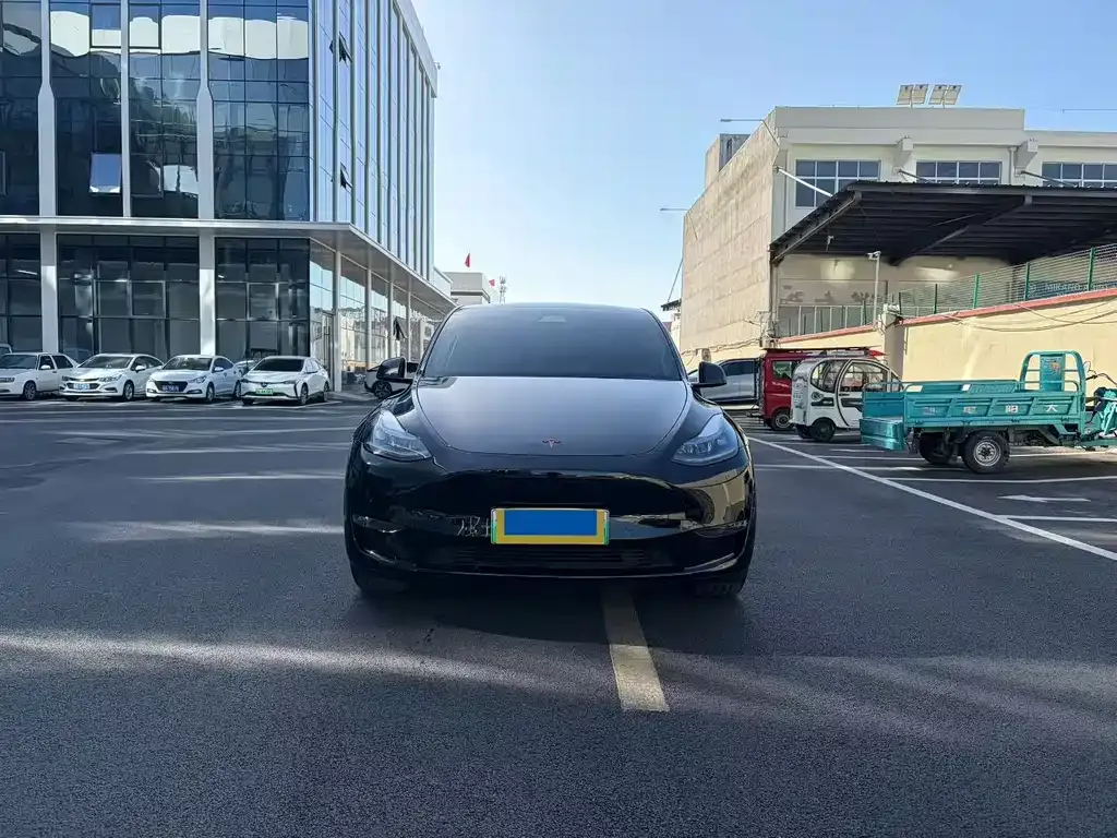 Tesla Model Y 2023 из CN, фото 5
