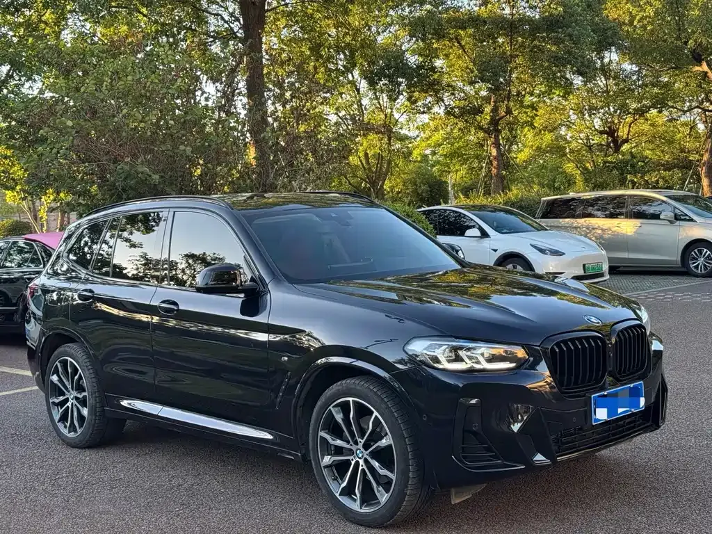 BMW X3 2024 из CN, фото 7