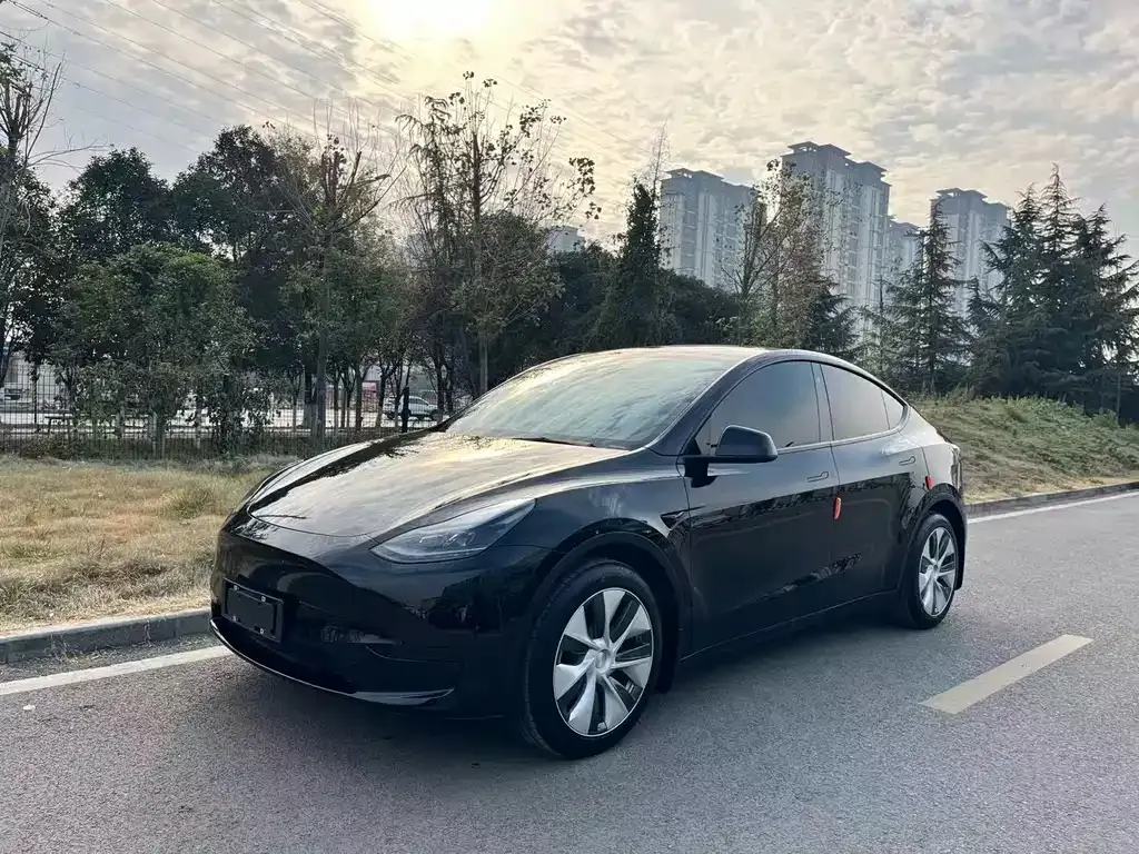 Tesla Model Y 2023 из CN, фото 1