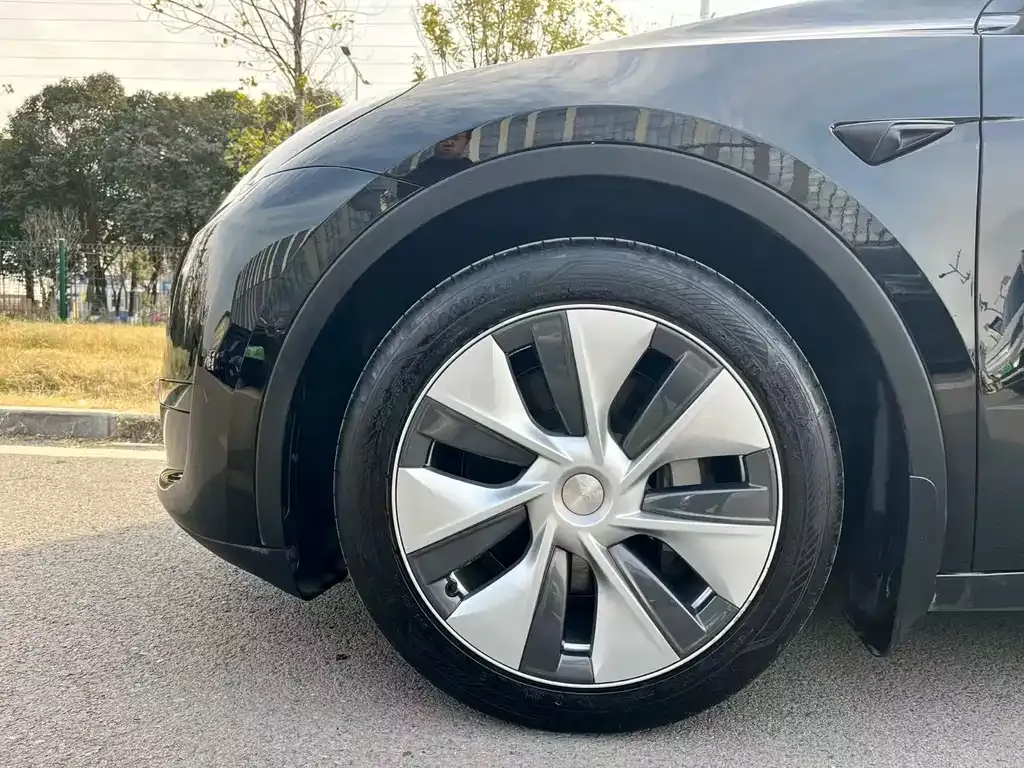 Tesla Model Y 2023 из CN, фото 5