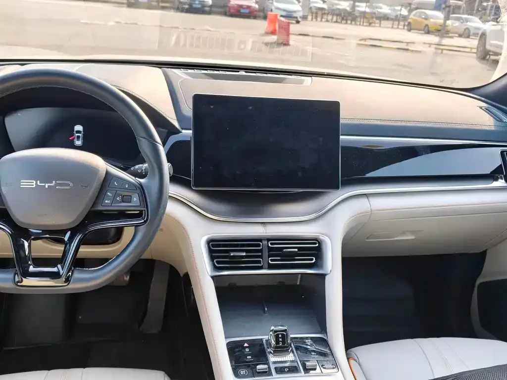 BYD PLUS New Energy 2024 из CN, фото 2