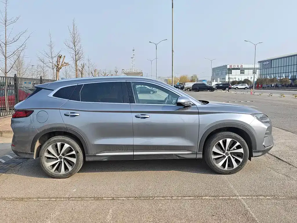 BYD PLUS New Energy 2024 из CN, фото 4