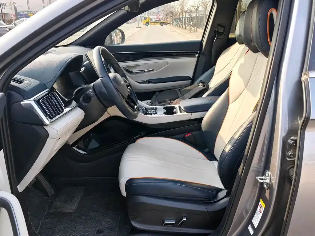 BYD PLUS New Energy 2024 из CN, фото 3