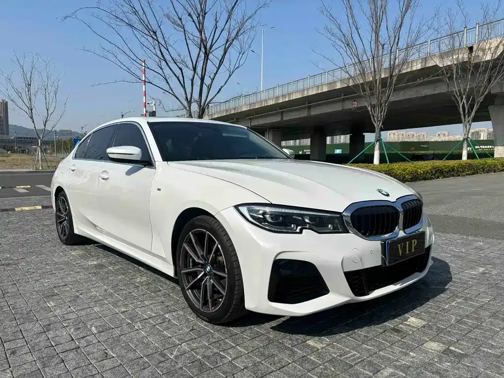 BMW 3 Series 2022 из CN, фото 5