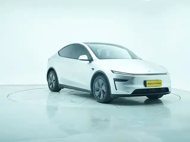 Tesla Model Y 2025 из CN, фото 3
