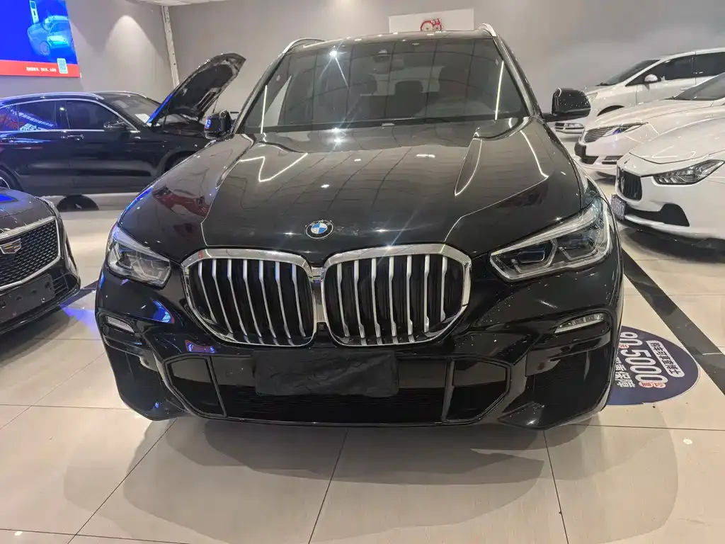 BMW X5 (Import) 2021 из CN, фото 9