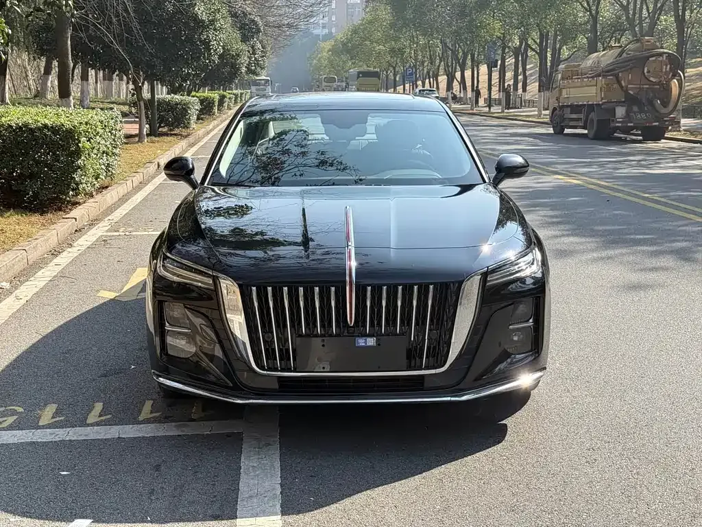 Hongqi H5 2023 из CN, фото 6