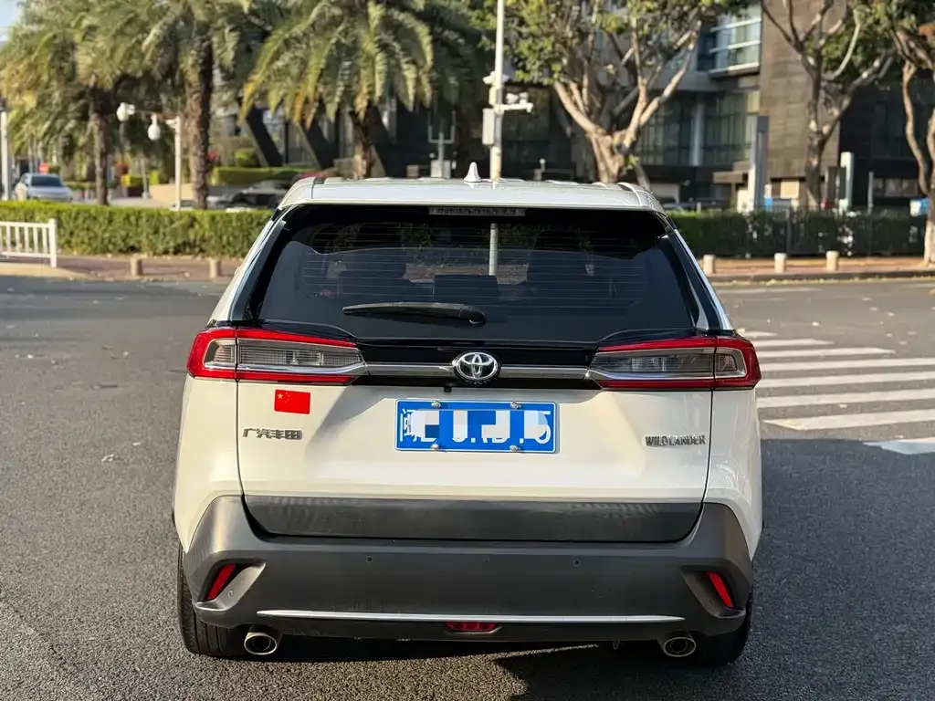 Toyota Wildlander 2021 из CN, фото 4