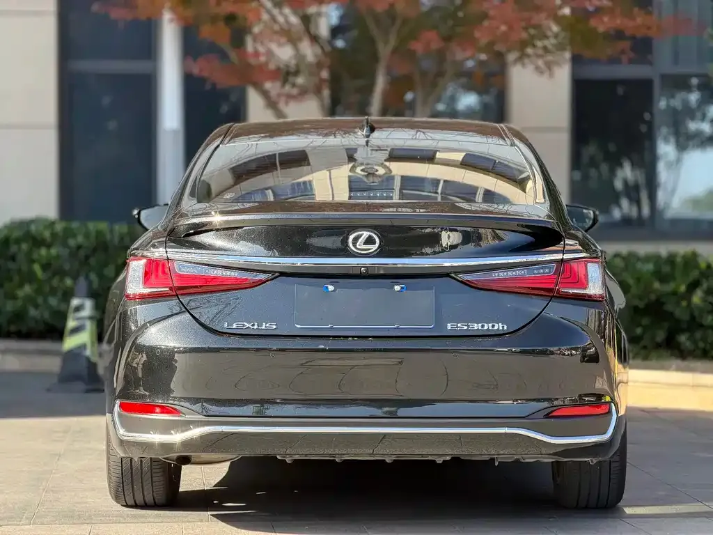Lexus ES 2024 из CN, фото 7