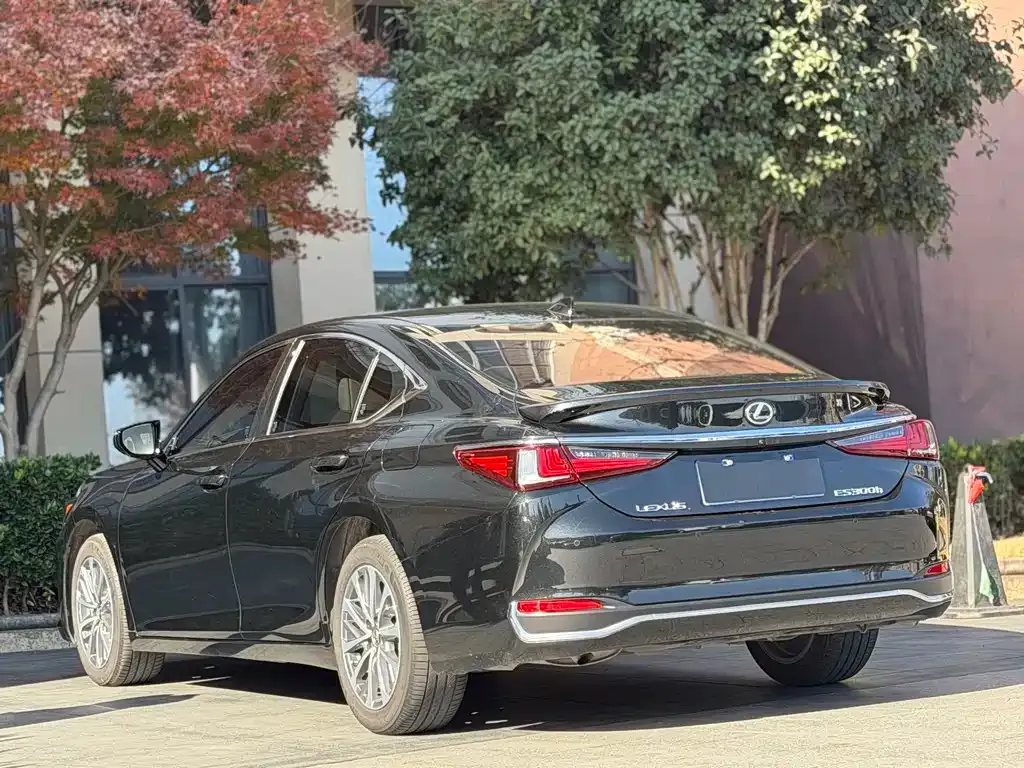 Lexus ES 2024 из CN, фото 8