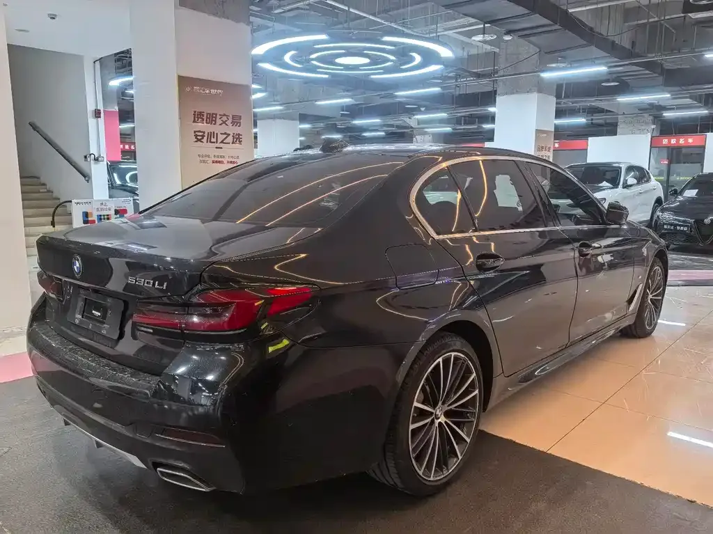 BMW 5 Series 2023 из CN, фото 6