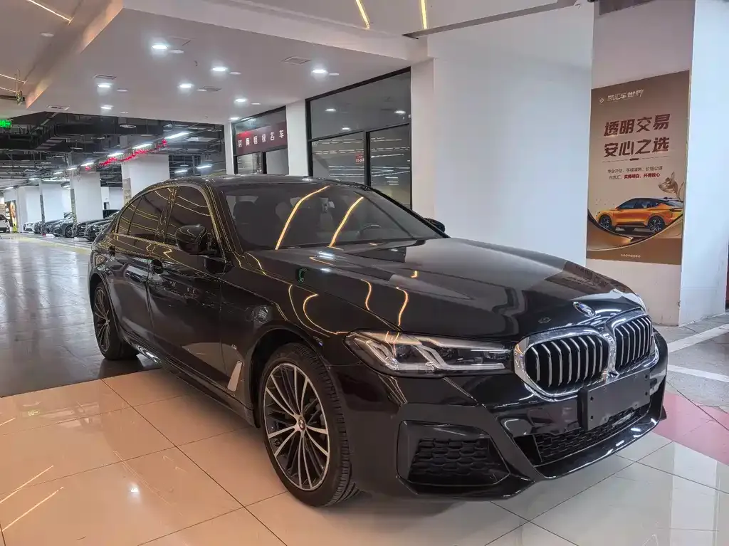 BMW 5 Series 2023 из CN, фото 5