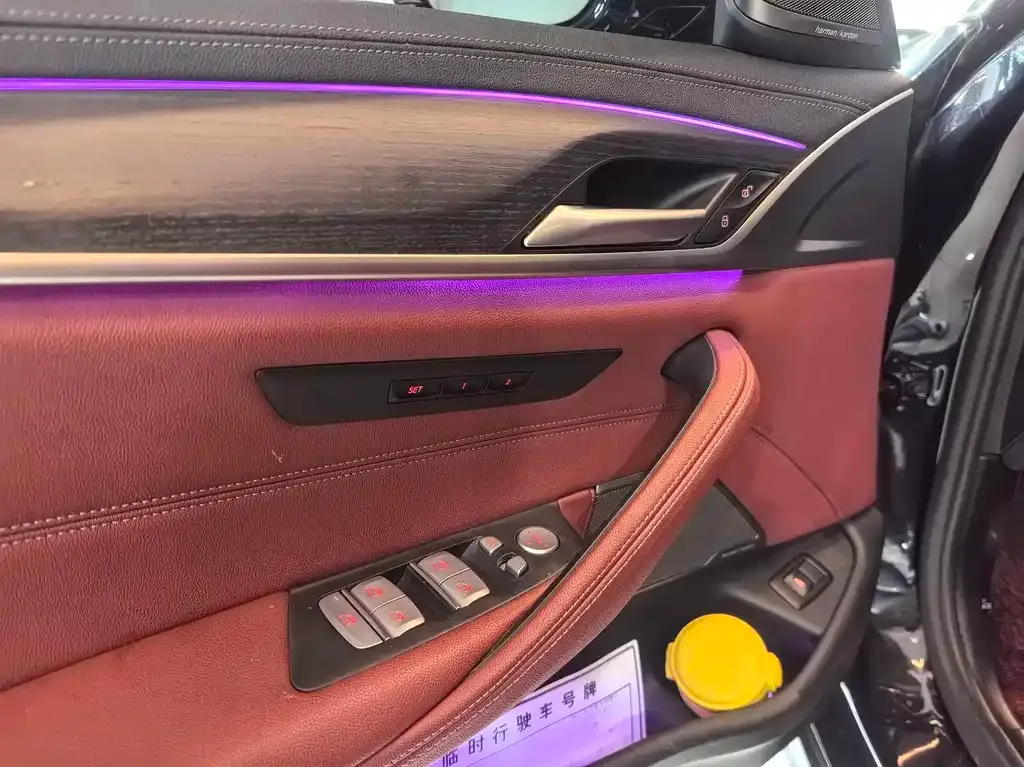 BMW 5 Series 2023 из CN, фото 4