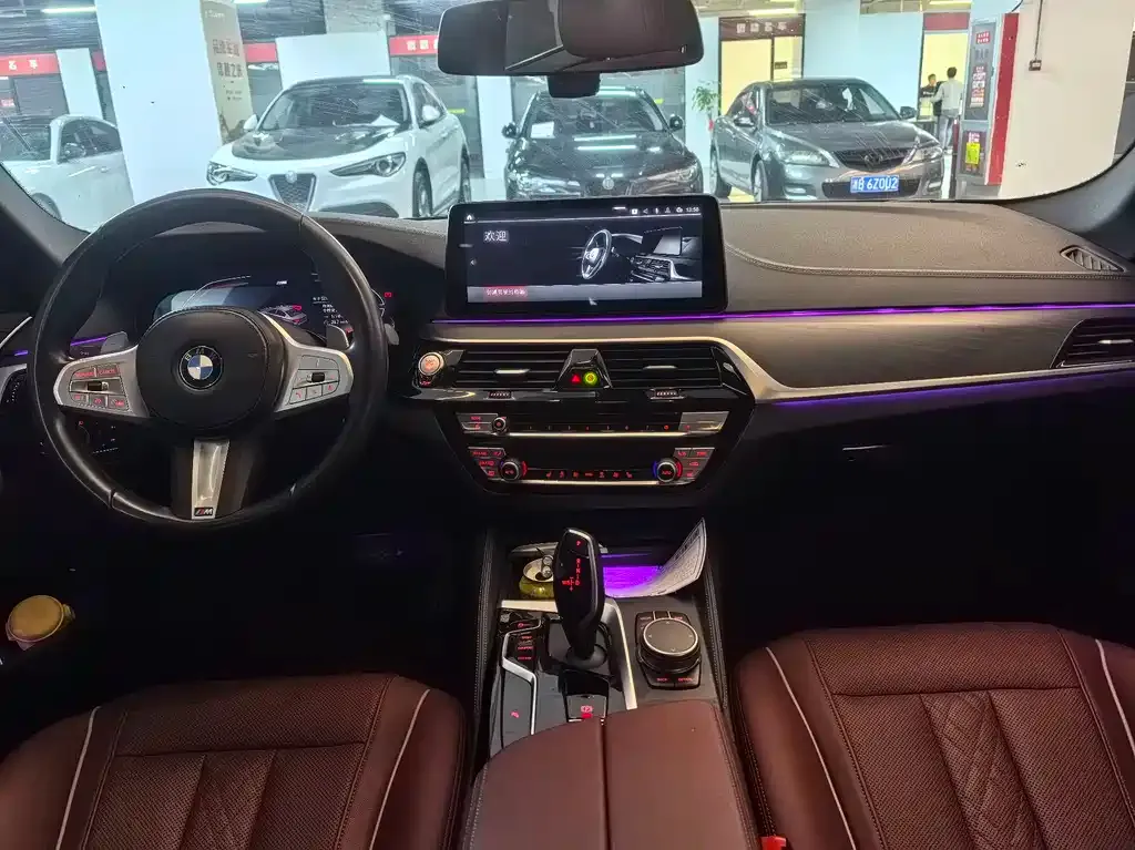 BMW 5 Series 2023 из CN, фото 9