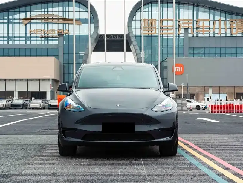 Tesla Model Y — фото 4