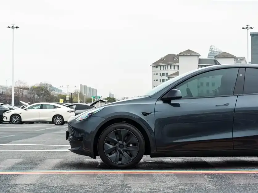 Tesla Model Y — фото 3
