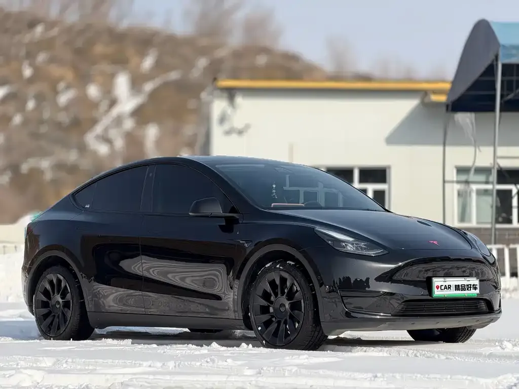 Tesla Model Y — фото 7