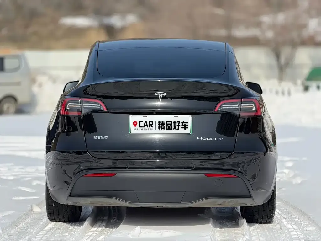 Tesla Model Y — фото 8