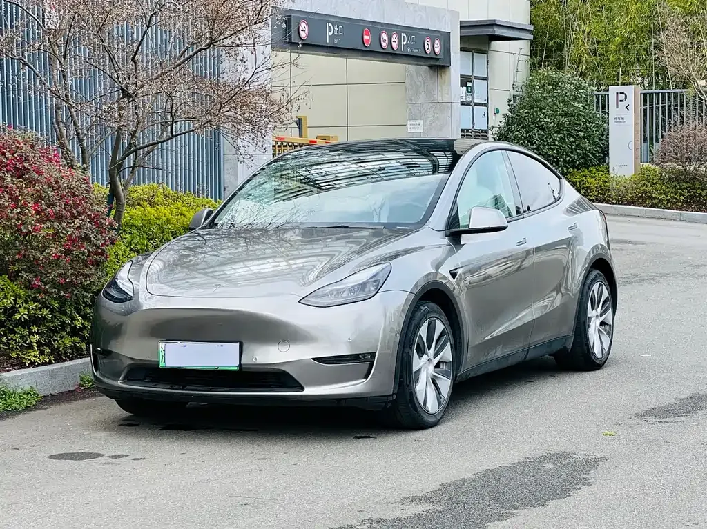 Tesla Model Y — фото 1