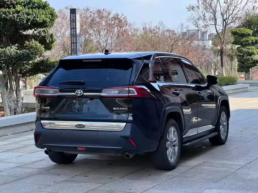 Toyota Wildlander 2022 из CN, фото 6