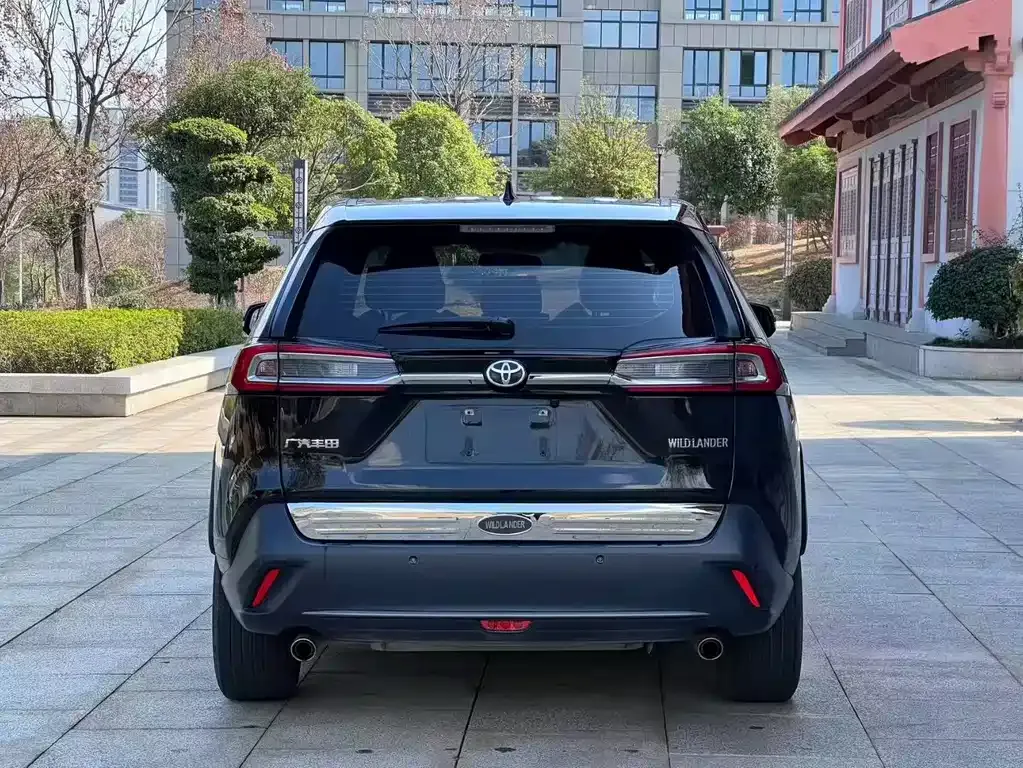 Toyota Wildlander 2022 из CN, фото 9