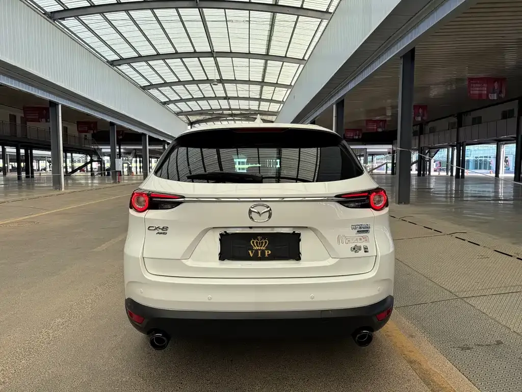 Mazda CX-8 2023 из CN, фото 6