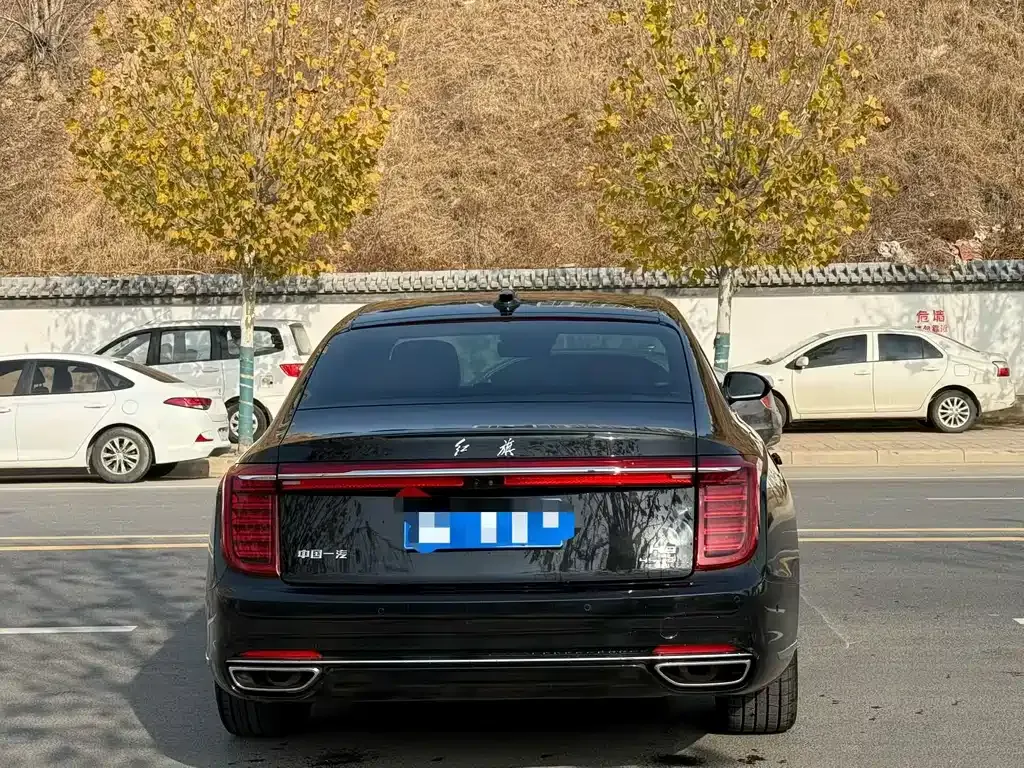 Hongqi H9 — фото 9