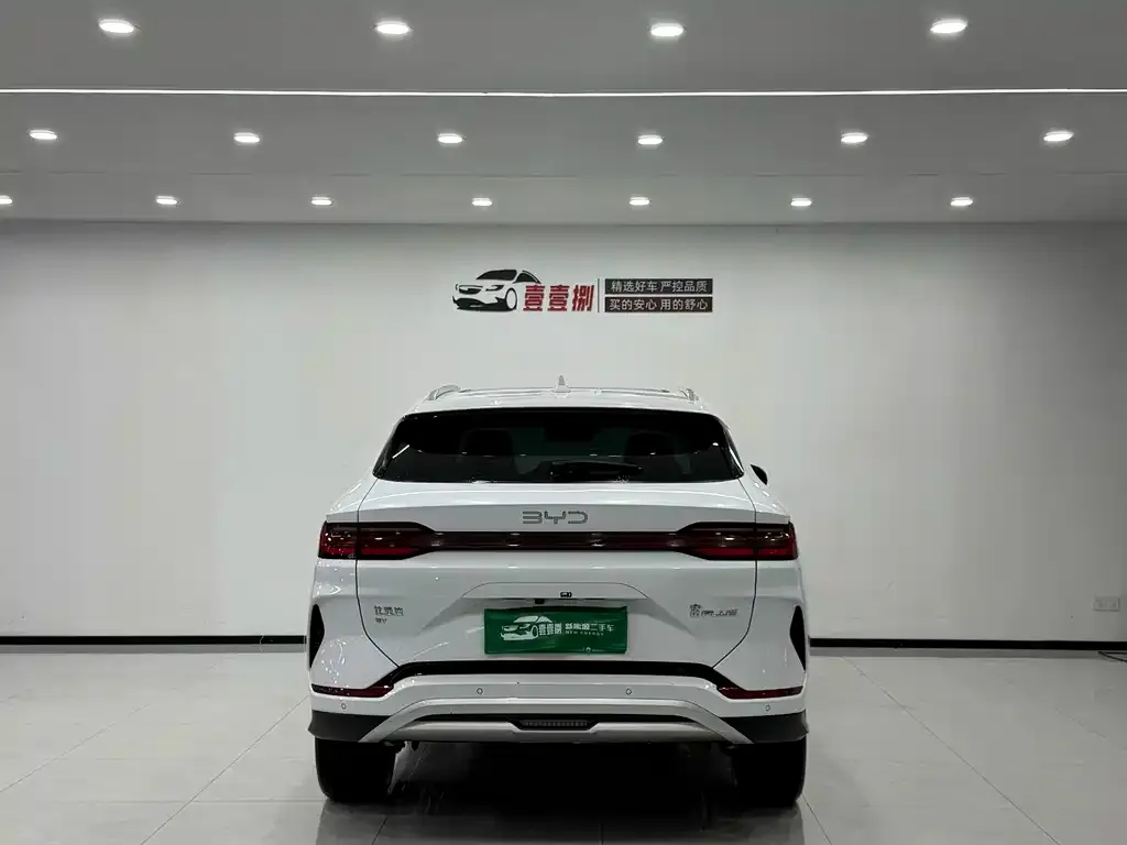 BYD PLUS New Energy — фото 2