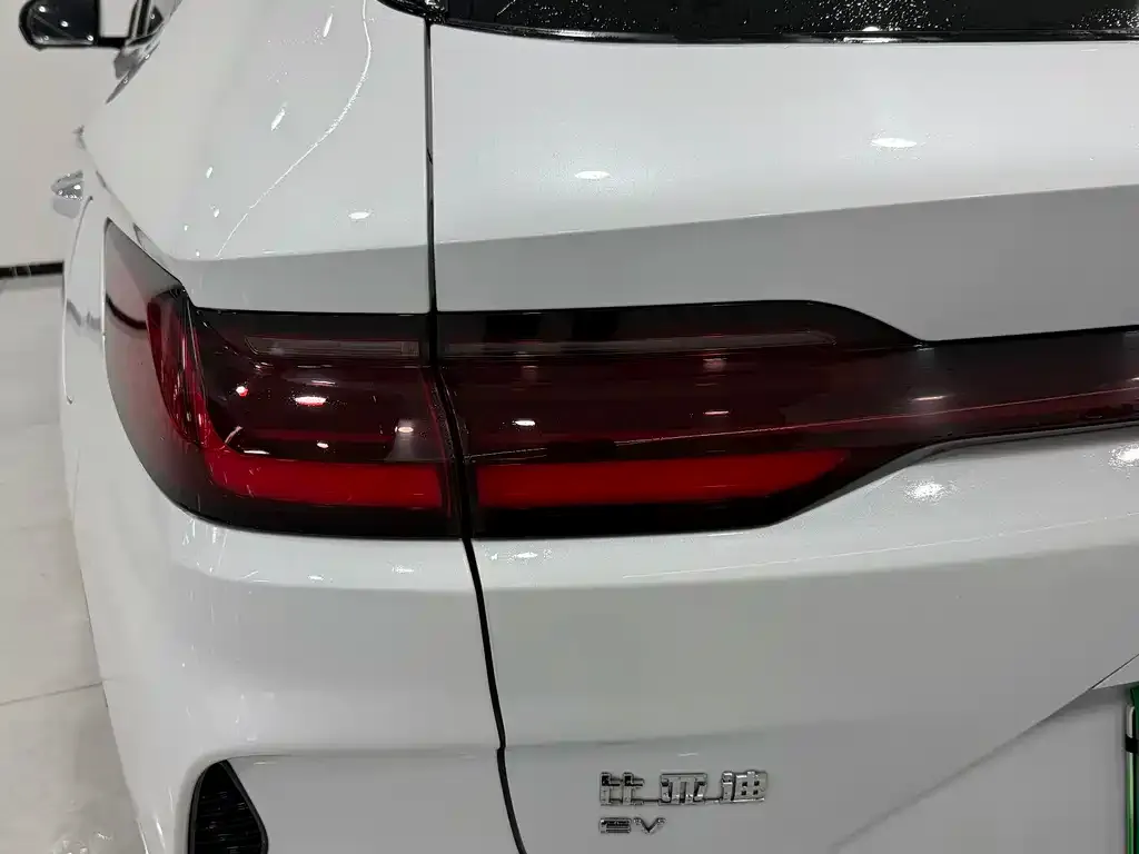 BYD PLUS New Energy — фото 4