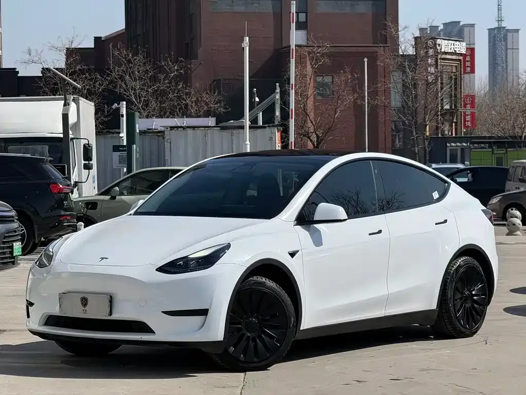 Tesla Model Y 2023 из CN, фото 1