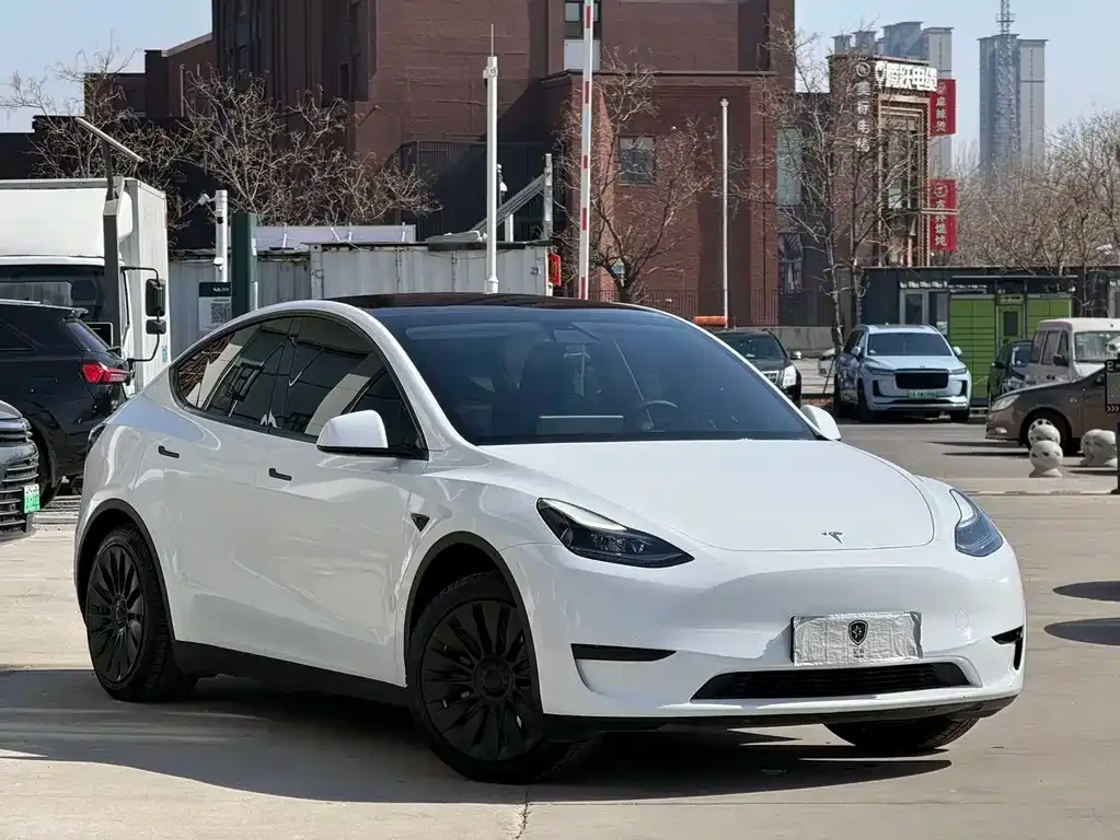 Tesla Model Y 2023 из CN, фото 6