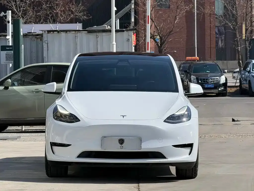 Tesla Model Y 2023 из CN, фото 8
