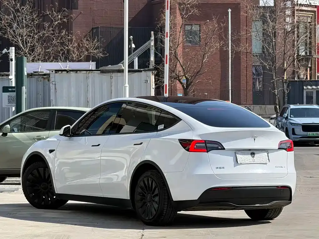 Tesla Model Y 2023 из CN, фото 3