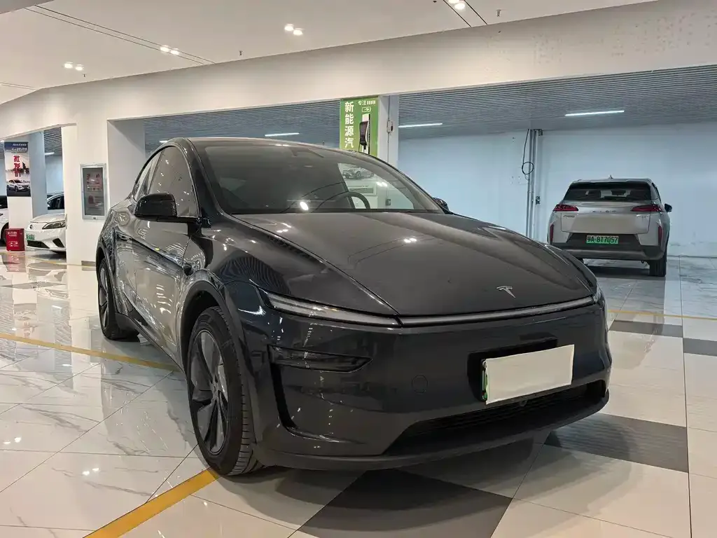 Tesla Model Y — фото 10