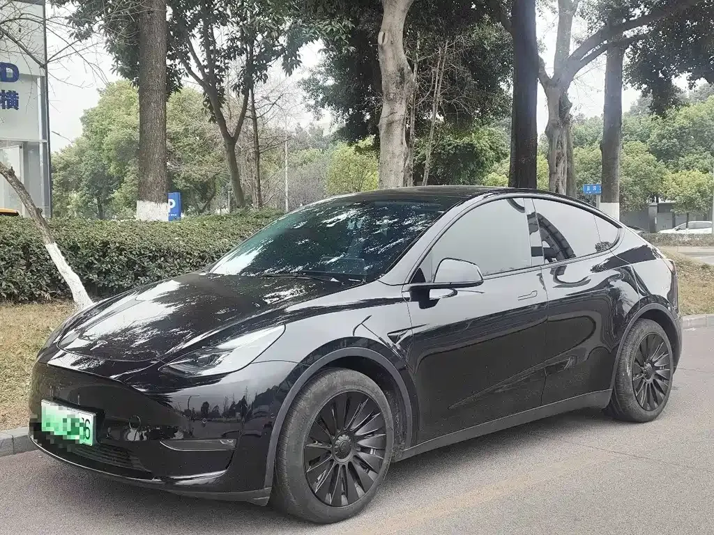 Tesla Model Y — фото 1
