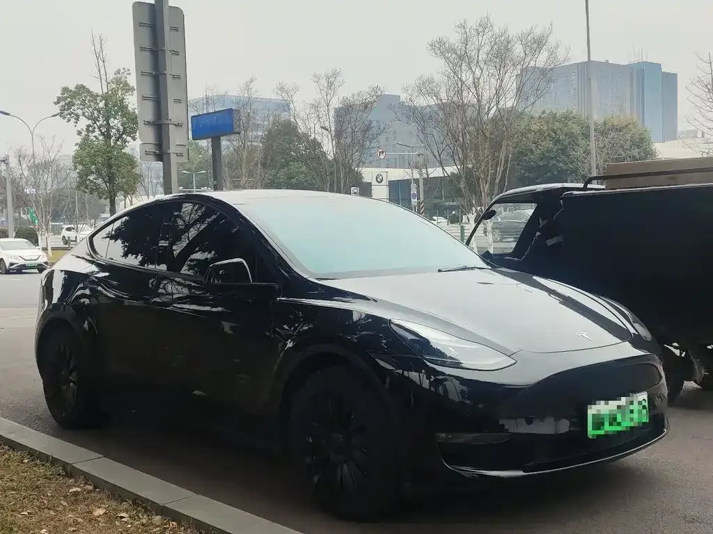 Tesla Model Y — фото 3