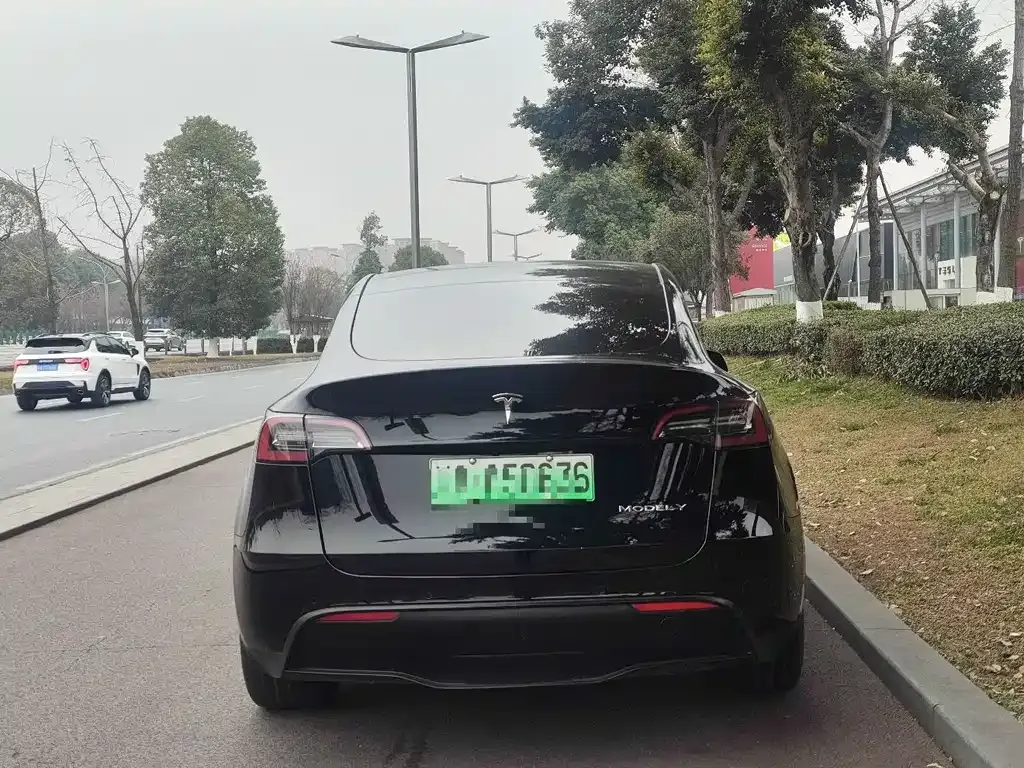 Tesla Model Y — фото 6