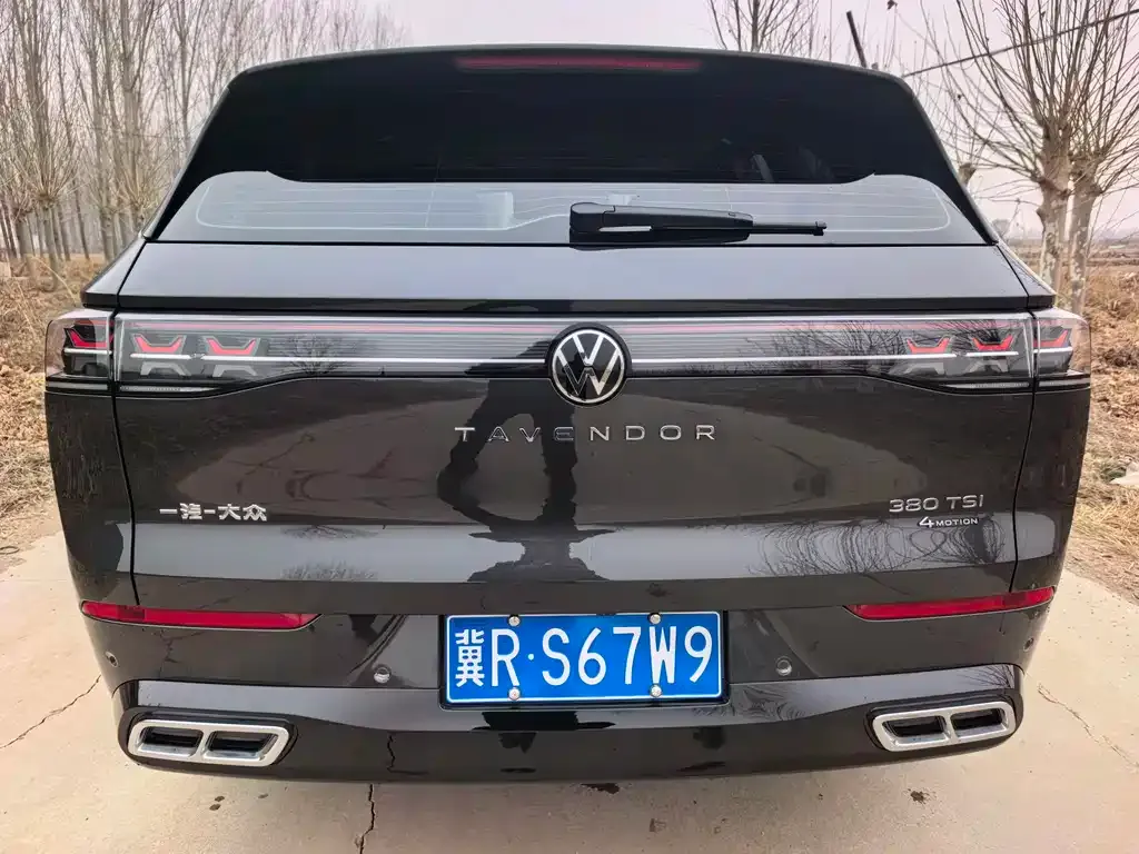 Volkswagen Tavendor 2023 из CN, фото 5