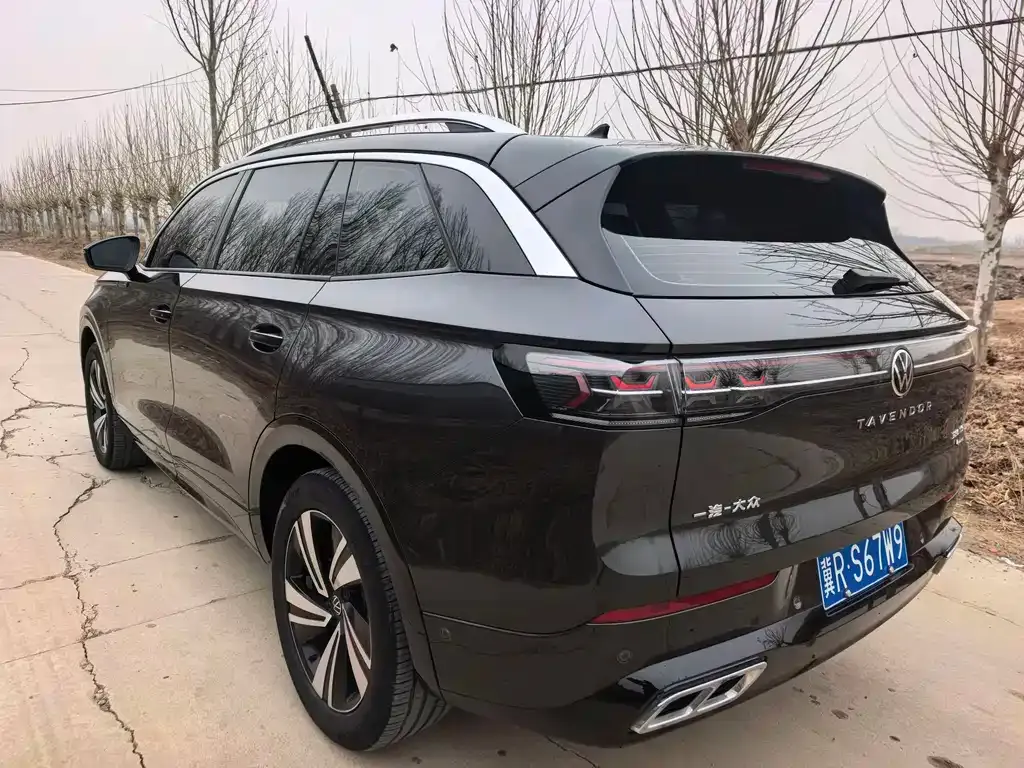 Volkswagen Tavendor 2023 из CN, фото 7